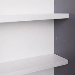 Altobuy COLLECT - Vitrine Murale 5 Compartiments Grise Et Blanche 11 Altobuy COLLECT - Vitrine Murale 5 Compartiments Grise Et Blanche -SoBuy Shop collect vitrine murale 5 compartiments grise et blanche 12040228 31911180 1140x1140